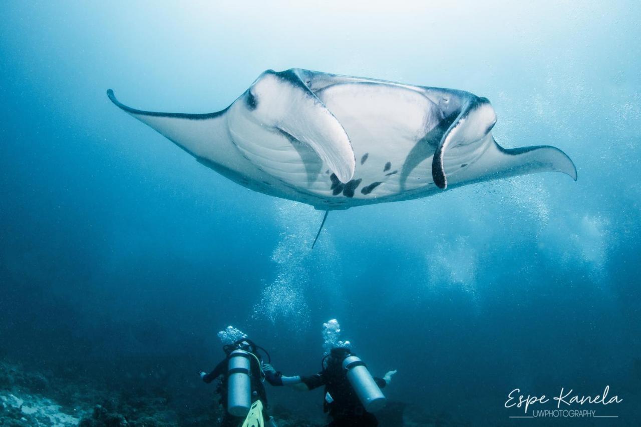 South Ari Dive Center Hotel Dhangethi Ngoại thất bức ảnh