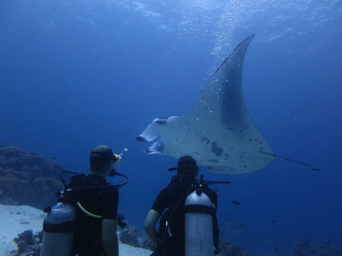 South Ari Dive Center Hotel Dhangethi Ngoại thất bức ảnh